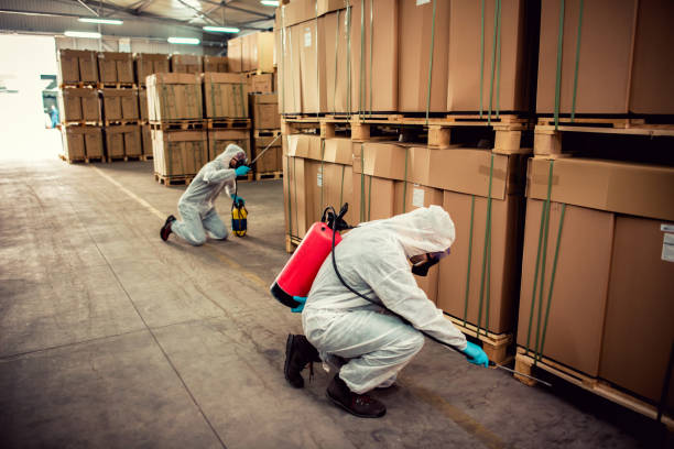 Best Pest Inspection Near Me  in Alamo, CA