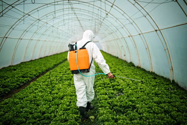 Best Residential Pest Control  in Alamo, CA