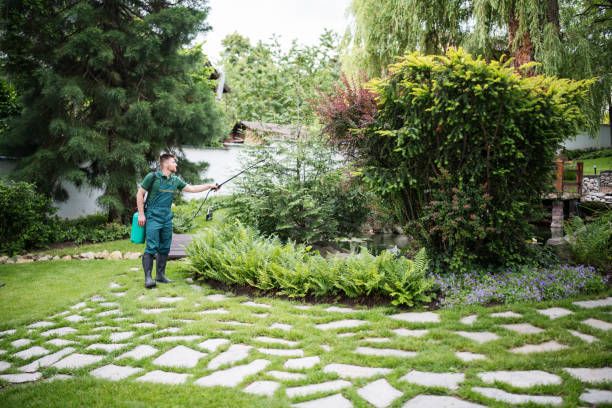 Best Mosquito Control Services  in Alamo, CA