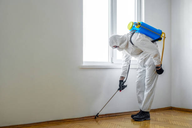 Best Pest Prevention Services  in Alamo, CA