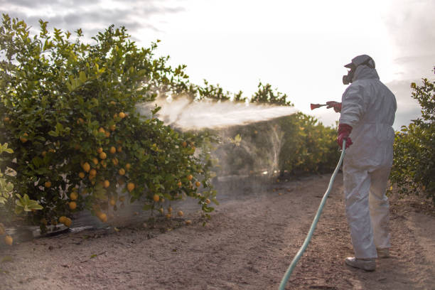 Best Wildlife Control Services  in Alamo, CA