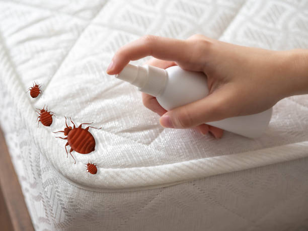 Best Pest Control for Restaurants  in Alamo, CA