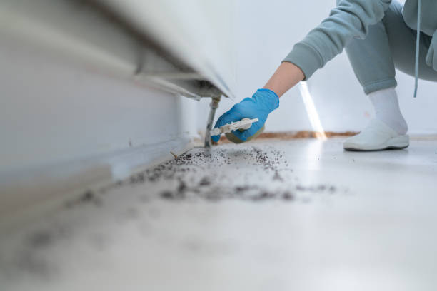 Best Best Pest Control Companies  in Alamo, CA