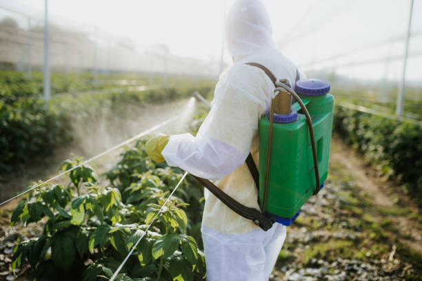 Best Mosquito Control Services  in Alamo, CA